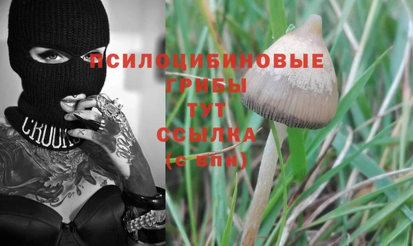 метадон Шали